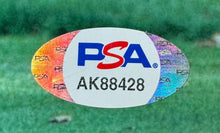 Load image into Gallery viewer, 43732663