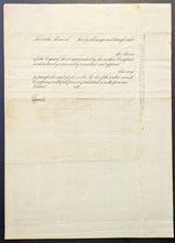 Load image into Gallery viewer, 43876587