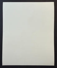 Load image into Gallery viewer, 47301495
