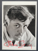 Load image into Gallery viewer, 43814280