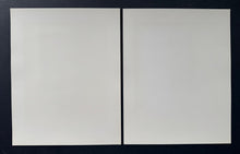 Load image into Gallery viewer, 44885639