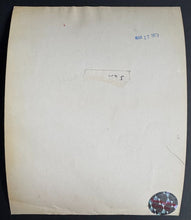 Load image into Gallery viewer, 43760342