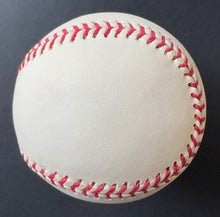 Load image into Gallery viewer, 43854240