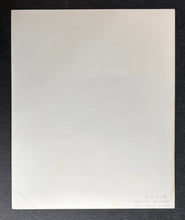 Load image into Gallery viewer, 47445327