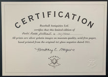 Load image into Gallery viewer, 44885683