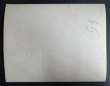 Load image into Gallery viewer, 44541276