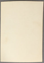 Load image into Gallery viewer, 44462818