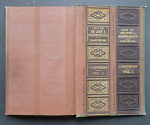 Load image into Gallery viewer, 43814347