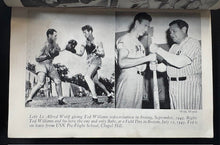 Load image into Gallery viewer, 45012260