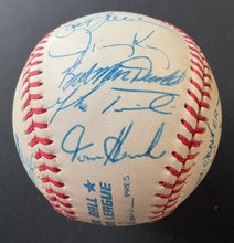 Load image into Gallery viewer, 43943710