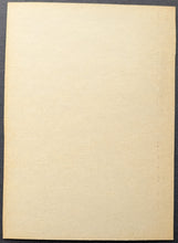 Load image into Gallery viewer, 44885635