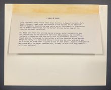 Load image into Gallery viewer, 45856483