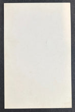 Load image into Gallery viewer, 47476989