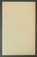 Load image into Gallery viewer, 45361931