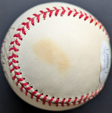 Load image into Gallery viewer, 44351542