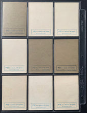 Load image into Gallery viewer, 45029865