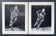 Load image into Gallery viewer, 44885705