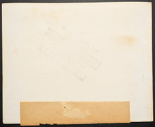 Load image into Gallery viewer, 44299550