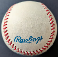 Load image into Gallery viewer, 47110697