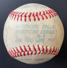 Load image into Gallery viewer, 43943719