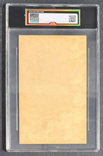 Load image into Gallery viewer, 47793247
