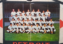 Load image into Gallery viewer, 1964 Vintage Detroit Tigers Full Team Picture Pennant MLB Memorabilia