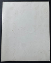 Load image into Gallery viewer, 44793072