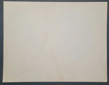 Load image into Gallery viewer, 43780209