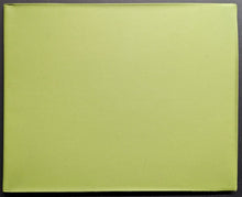 Load image into Gallery viewer, 1969 Oshawa Green Gaels Canadian 7th Consecutive Minto Cup Champions Team Photo