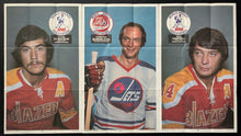 Load image into Gallery viewer, 1973-74 World Hockey Association Complete Set Of 20 Vintage Posters Gordie Howe