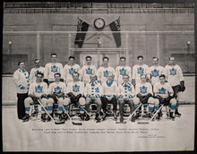 Load image into Gallery viewer, 47066686