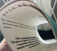 Load image into Gallery viewer, 45500054