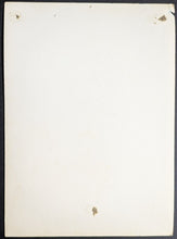 Load image into Gallery viewer, 44462791