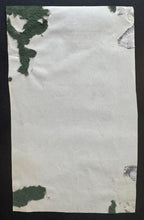 Load image into Gallery viewer, 44351537