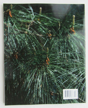 Load image into Gallery viewer, 44048173