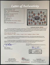 Load image into Gallery viewer, 45057091