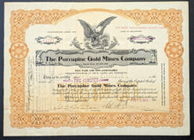 Load image into Gallery viewer, 43876587