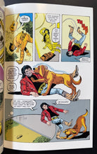 Load image into Gallery viewer, 44351557