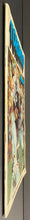 Load image into Gallery viewer, 47749871