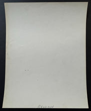 Load image into Gallery viewer, 43702644