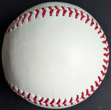 Load image into Gallery viewer, 47373793