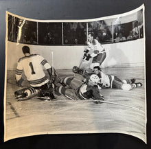 Load image into Gallery viewer, 43724586