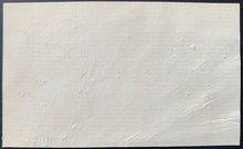 Load image into Gallery viewer, 45089880