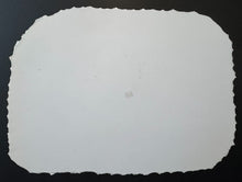 Load image into Gallery viewer, 44223881