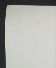 Load image into Gallery viewer, 45172685