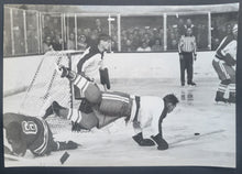 Load image into Gallery viewer, 44029713