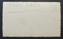 Load image into Gallery viewer, 44061498