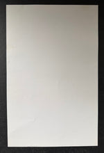 Load image into Gallery viewer, 47301494
