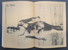 Load image into Gallery viewer, 43814365