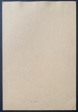 Load image into Gallery viewer, 44986779